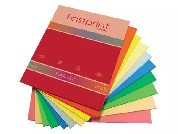 Een Kopieerpapier Fastprint A4 80gr 10kleuren x25vel 250vel koop je bij Sysdicom BV