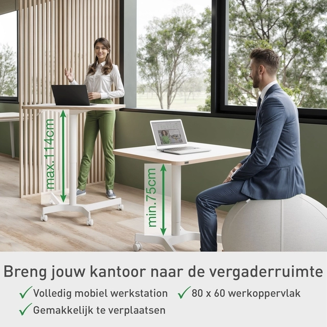 Een Zit-Sta bureau Leitz Ergo Klein koop je bij Clippz! Office Supplies