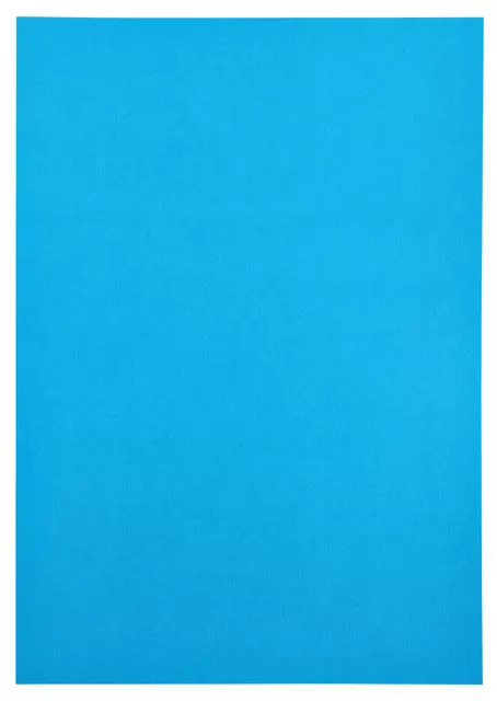 Een Kopieerpapier Papicolor A4 200gr 6vel hemelsblauw koop je bij Schellen Boek- en Kantoorboekhandel