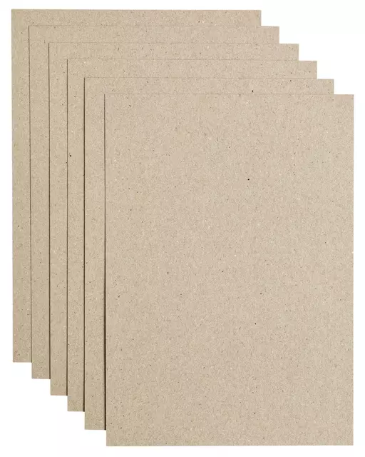 Een Kopieerpapier Papicolor A4 220gr 6vel kraft grijs koop je bij Schellen Boek- en Kantoorboekhandel