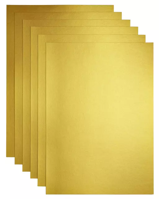 Een Kopieerpapier Papicolor A4 300gr 3vel metallic goud koop je bij Schellen Boek- en Kantoorboekhandel