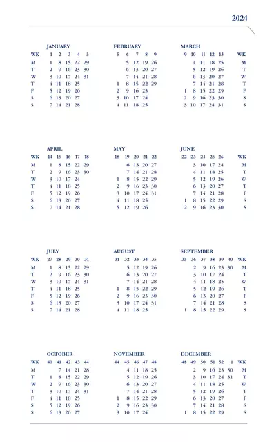 Een Agenda 2025 Ryam Memoplan 7 Nappa 7dagen/2pagina's assorti koop je bij Continu Kantoor