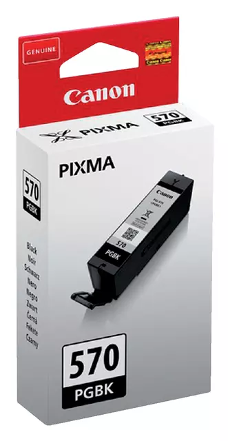 Een Inktcartridge Canon PGI-570 zwart koop je bij De Joma BV