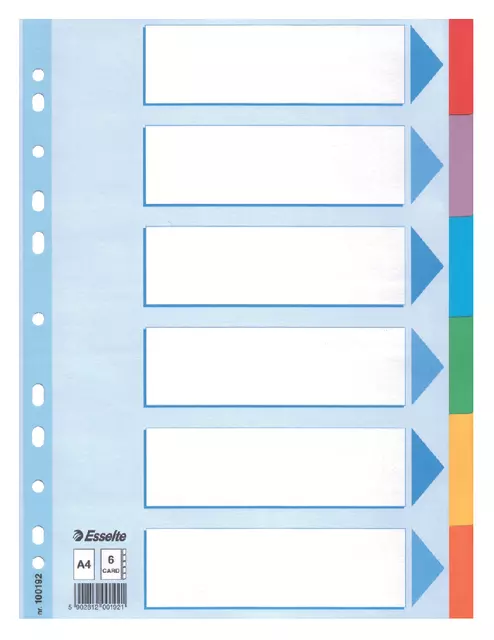 Een Tabbladen Esselte Standaard A4 6-delig karton 11-rings met voorblad assorti koop je bij van Kerkvoorde & Hollander B.V.