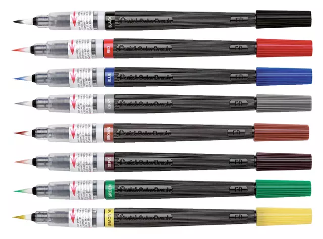 Een Brushpen Pentel XGFL-101X zwart koop je bij Egner kantoorspecialisten