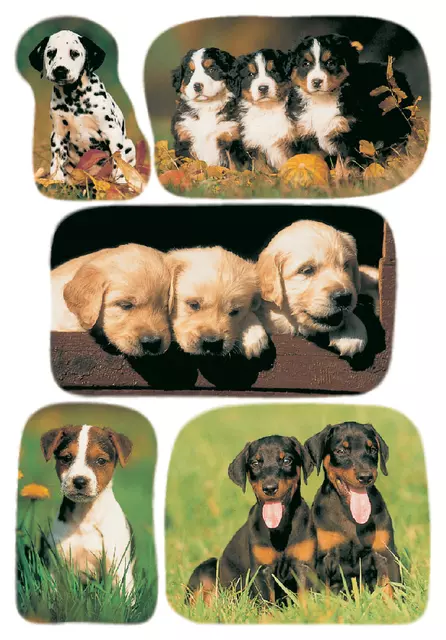 Een Etiket HERMA 3528 honden koop je bij Schellen Boek- en Kantoorboekhandel
