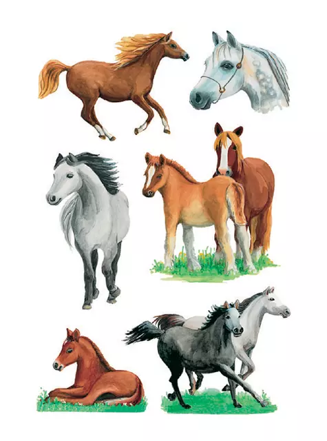 Een Etiket HERMA 3553 paarden rassen koop je bij Schellen Boek- en Kantoorboekhandel