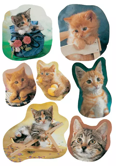 Een Etiket HERMA 5747 katten koop je bij Schellen Boek- en Kantoorboekhandel