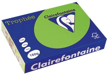 Een Clairefontaine Trophée Intens, gekleurd papier, A4, 160 g, 250 vel, grasgroen koop je bij Muys Kantoor & Kado