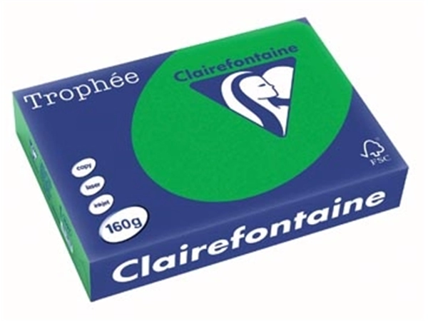 Een Clairefontaine Trophée Intens, gekleurd papier, A4, 160 g, 250 vel, bijartgroen koop je bij Muys Kantoor & Kado