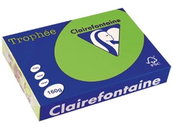 Een Clairefontaine Trophée Intens, gekleurd papier, A4, 160 g, 250 vel, grasgroen koop je bij Muys Kantoor & Kado