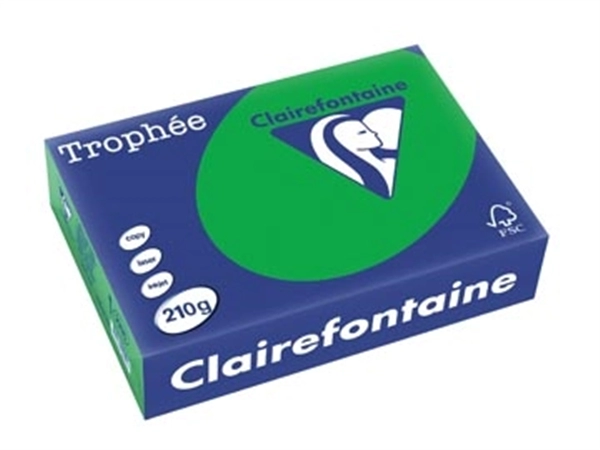 Een Clairefontaine Trophée Intens, gekleurd papier, A4, 210 g, 250 vel, bijartgroen koop je bij Muys Kantoor & Kado