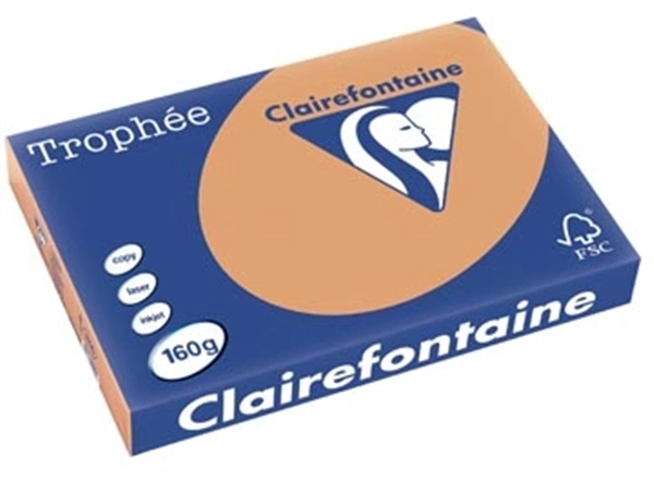 Een Clairefontaine Trophée Pastel, gekleurd papier, A3, 160 g, 250 vel, mokkabruin koop je bij Muys Kantoor & Kado