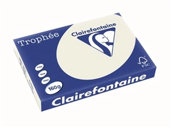 Een Clairefontaine Trophée Pastel, gekleurd papier, A3, 160 g, 250 vel, parelgrijs koop je bij Muys Kantoor & Kado