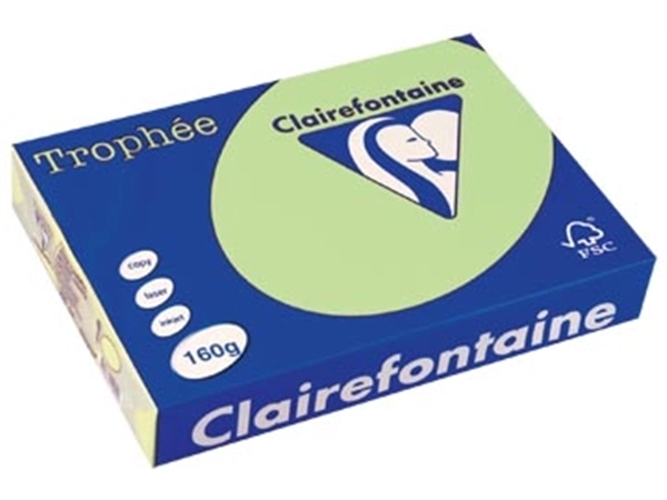 Een Clairefontaine Trophée Pastel, gekleurd papier, A4, 160 g, 250 vel, groen koop je bij Muys Kantoor & Kado