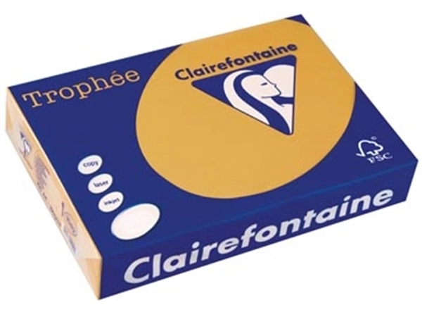 Een Clairefontaine Trophée Pastel, gekleurd papier, A4, 160 g, 250 vel, mokkabruin koop je bij Muys Kantoor & Kado