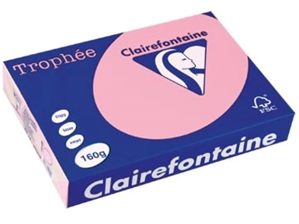 Een Clairefontaine Trophée Pastel, gekleurd papier, A4, 160 g, 250 vel, roze koop je bij Muys Kantoor & Kado