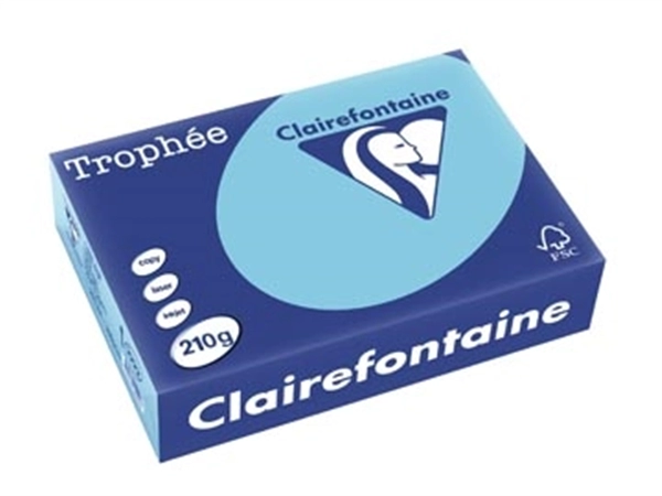 Een Clairefontaine Trophée Pastel, gekleurd papier, A4, 210 g, 250 vel, helblauw koop je bij Muys Kantoor & Kado