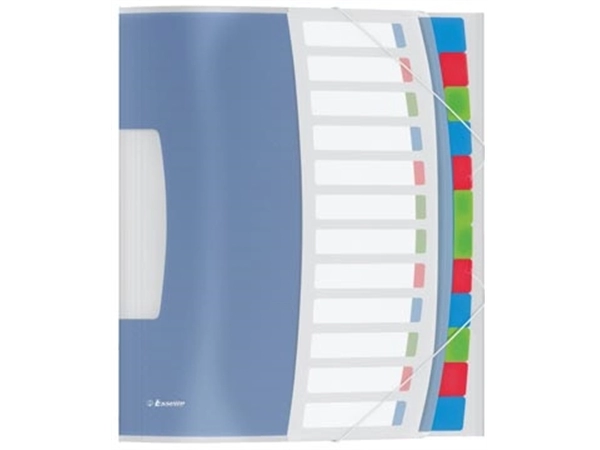 Een Esselte Sorteermap Vivida 12 tabs koop je bij Muys Kantoor & Kado