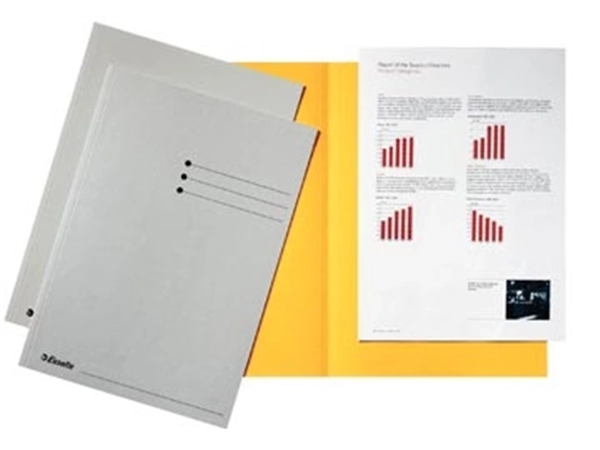 Een Esselte dossiermap grijs, karton van 180 g/m², pak van 100 stuks koop je bij Muys Kantoor & Kado