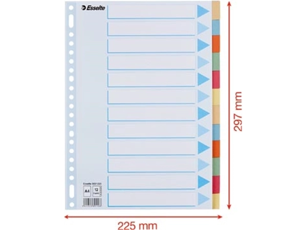 Een Esselte tabbladen 12 tabs, karton van 275 g/m² koop je bij Muys Kantoor & Kado