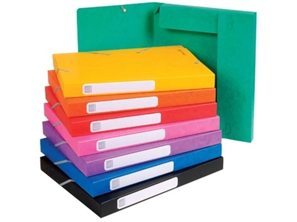 Een Exacompta Elastobox Cartobox rug van 2,5 cm, geassorteerde kleuren: groen, blauw, geel, rood, oranje, ... koop je bij Muys Kantoor & Kado