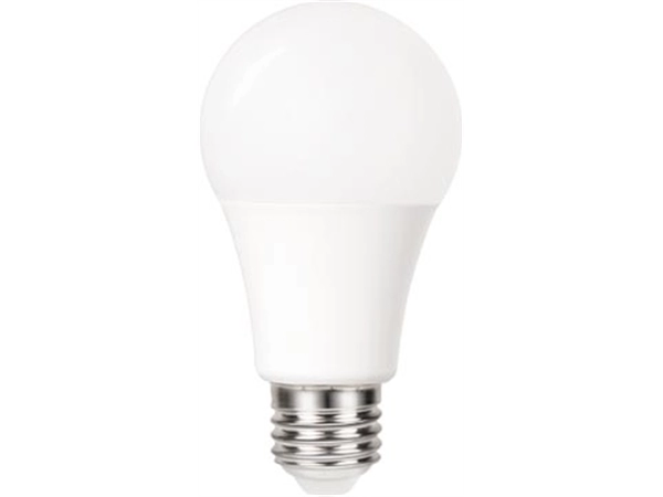 Een Integral Classic Globe LED lamp E27, dag/nacht sensor, niet dimbaar, 5.000 K, 4,8 W, 470 lumen koop je bij Muys Kantoor & Kado