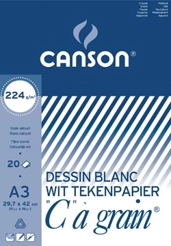 Een Canson tekenblok C à grain 224 g/m², ft 29,7 x 42 cm (A3) koop je bij Muys Kantoor & Kado