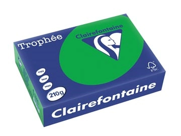 Een Clairefontaine Trophée Intens, gekleurd papier, A4, 210 g, 250 vel, bijartgroen koop je bij Muys Kantoor & Kado