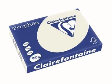 Een Clairefontaine Trophée Pastel, gekleurd papier, A3, 160 g, 250 vel, parelgrijs koop je bij Muys Kantoor & Kado