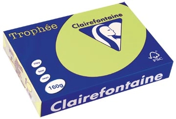 Een Clairefontaine Trophée Pastel, gekleurd papier, A4, 160 g, 250 vel, golfgroen koop je bij Muys Kantoor & Kado