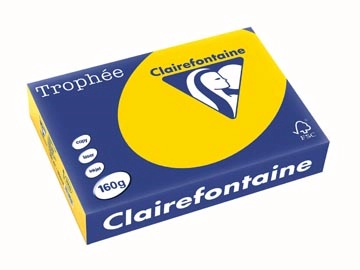 Een Clairefontaine Trophée Pastel, gekleurd papier, A4, 160 g, 250 vel, goudgeel koop je bij Muys Kantoor & Kado