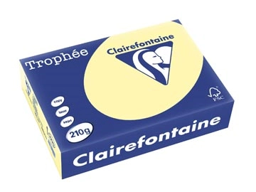 Een Clairefontaine Trophée Pastel, gekleurd papier, A4, 210 g, 250 vel, kanariegeel koop je bij Muys Kantoor & Kado