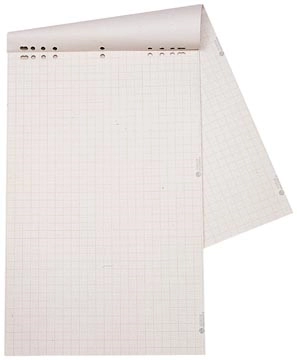 Een Dahle flipchartpapier, ft 68 x 95 cm, geruit, rol van 20 vel koop je bij Muys Kantoor & Kado