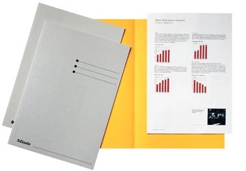 Een Esselte dossiermap grijs, karton van 180 g/m², pak van 100 stuks koop je bij Muys Kantoor & Kado