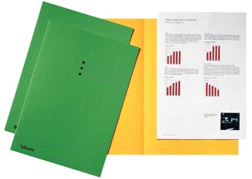 Een Esselte dossiermap groen, karton van 180 g/m², pak van 100 stuks koop je bij Muys Kantoor & Kado