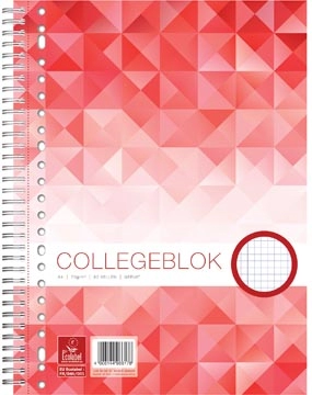 Een Work collegeblok A4 geruit 80 blz, 23-gaats koop je bij Muys Kantoor & Kado