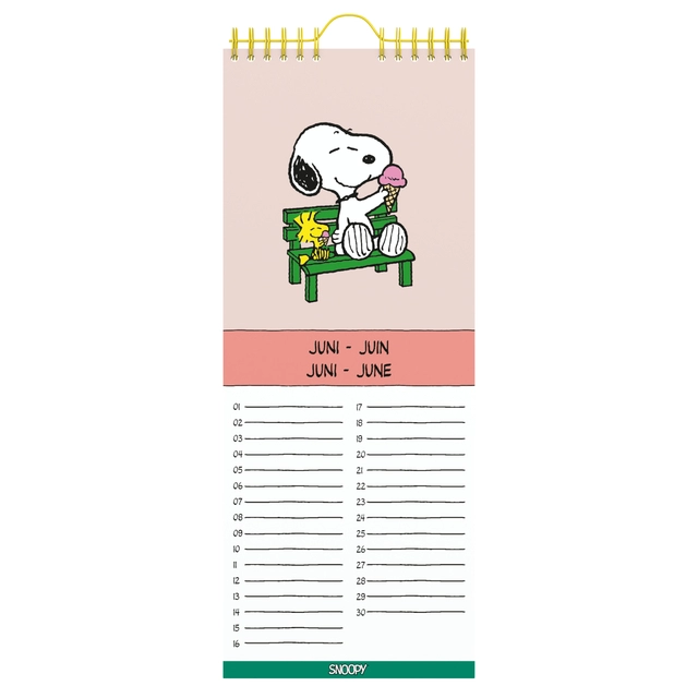 Een Verjaardagskalender Lannoo Peanuts 130x325 koop je bij VHK Kantoorartikelen