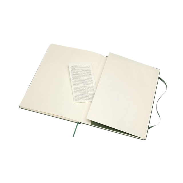 Een Notitieboek Moleskine XL 190x250mm blanco hard cover myrtle green koop je bij VHK Kantoorartikelen