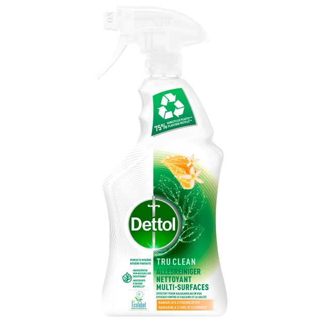 Een Allesreiniger Dettol TC Mandarin & Lemon spray 500ml koop je bij Hoekmankantoorartikelen.nl