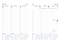 Een Agenda 2025 Ryam Weekplan limited edition 7dagen/2pagina's assorti koop je bij Hoekmankantoorartikelen.nl