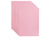 Een Kopieerpapier Papicolor A4 100gr 12 vel babyroze koop je bij Hoekmankantoorartikelen.nl