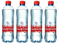 Een Water Chaudfontaine rood petfles 500ml koop je bij Sysdicom BV