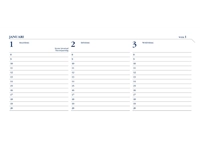 Een Agenda 2025 Ryam Memoplan 7 Mundior 7dagen/2pagina's landscape zwart koop je bij Hoekmankantoorartikelen.nl