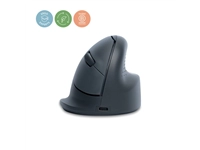 Een Muis R-Go Ergonomisch HE Basic Wireless Rechts M koop je bij Company Supplies