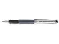 Een Vulpen Waterman Expert metallic stone CT medium koop je bij Sysdicom BV