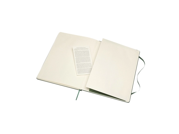 Een Notitieboek Moleskine XL 190x250mm blanco hard cover myrtle green koop je bij Continu Kantoor