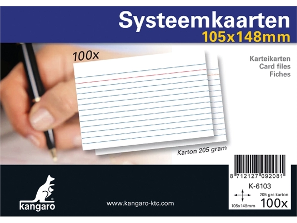 Een Systeemkaarten A6 105x148mm 100 stuks koop je bij VHK Kantoorartikelen