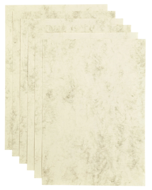 Een Kopieerpapier Papicolor A4 200gr 6 vel marble ivoor koop je bij Hoekmankantoorartikelen.nl