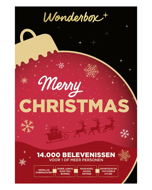 Een Wonderbox Leeg Merry Christmas koop je bij Intertoys Koster